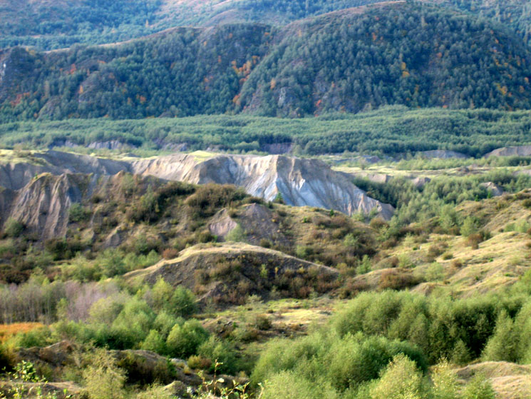hummocks